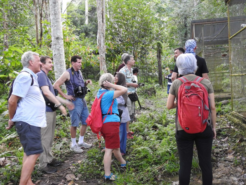 Para wisatawan asing di Maluku untuk mengamati burung paruh bengkok di habitat alami.